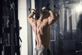 Bodybuilder workout on trainer in gym, perfect muscular male body Royalty Free Stock Photo