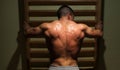 Bodybuilders back Royalty Free Stock Photo