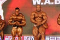 Bodybuilders posing Royalty Free Stock Photo