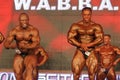 Bodybuilders posing Royalty Free Stock Photo