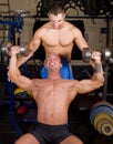 Bodybuilders training Royalty Free Stock Photo