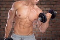 Bodybuilding bodybuilder muscles biceps body builder building po
