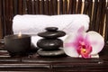 Bodycare massage items Royalty Free Stock Photo