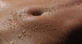 Bodyscape of a Nude wet belly Royalty Free Stock Photo