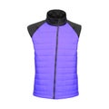 Bodywarmer Blue Royalty Free Stock Photo