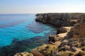 Boe marino in Favignana Royalty Free Stock Photo