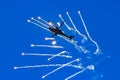 Boeing AH-64 Apache attack helicopter firing flares during a flight demonstration at Kleine Brogel, Belgium - September 13, 2014