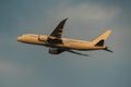 Boeing 787-8 taking off at dusk