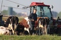 Boeren met melkvee, Farmers with dairy cattle