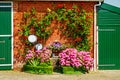 An old refurbished farm barn surrounded by Hydrangeas.