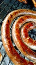 Boerwors ring sausage Royalty Free Stock Photo