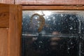 Boettger`s wall gecko Tarentola boettgeri and photographer reflected in the window. Royalty Free Stock Photo