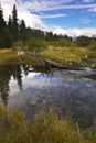 Bog in cold northern mountains Royalty Free Stock Photo