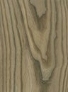 Bog Elm wood veneer texture