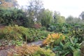 The Bog Garden In Autumn - Forde Abbey, Somerset, UK Royalty Free Stock Photo