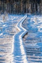 Bog hiking trail with snow-covered wooden boardwalk Royalty Free Stock Photo