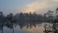 Bog lake early in the morning Royalty Free Stock Photo