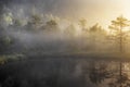 Bog lake in morning fog Royalty Free Stock Photo