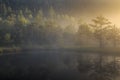 Bog lake in morning fog Royalty Free Stock Photo