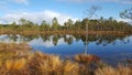 Bog lake Royalty Free Stock Photo