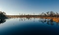 Bog landscape Royalty Free Stock Photo