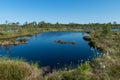 bog landscape, spring-colored bog vegetation, small bog lakes, islands covered with small bog pines, grass, moss