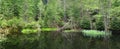 Bog muck lake in national park Royalty Free Stock Photo