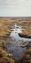 Captivating Real Photos Showcasing The Vast Scenery Of The Bog