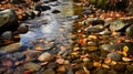 Bog Stream: Serene Fall Time Photography With Leaf Patterns And Naturalistic Shadows Royalty Free Stock Photo