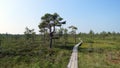 Bog trail in Soomaa National Park in Estonia Royalty Free Stock Photo