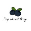 Bog whortleberryvector cartoon flat illustration. Bilberry huckleberry blueberry hurtleberry sign. Fruit berry and vegetable logo Royalty Free Stock Photo