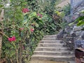 Boganvia Yelapa Mexico red flower tropical steps stone path climb green Royalty Free Stock Photo