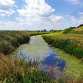 Boggy areas in the Beka Reserve Royalty Free Stock Photo