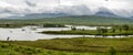 Boggy land of Rannoch moor, Scotland Royalty Free Stock Photo