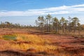 Natural landscape in the boggy reserve Royalty Free Stock Photo