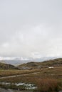 Mountain bog: rocks, water, brown rushes and grass