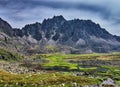 Boggy tundra in the Siberian mountains Royalty Free Stock Photo