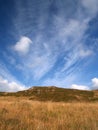 Bogland Royalty Free Stock Photo