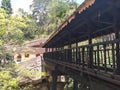 Bogoda wooden bridge in Badulla Sri Lanka.
