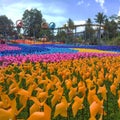 Bogor, Indonesia - August 13 2022: A field full of colorful windmills inside a tourist spot called Cimory Dairyland