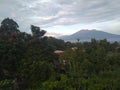 Bogor mountain beautiful nature sweet