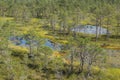 Bogs in Lahemaa National Park