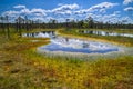 Bogs, lakes and eco trails in the Lahemaa National Park in Estonia