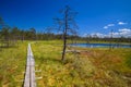 Bogs, lakes and eco trails in the Lahemaa National Park in Estonia