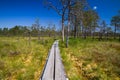 Bogs, lakes and eco trails in the Lahemaa National Park in Estonia