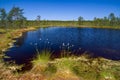 Bogs, lakes and eco trails in the Lahemaa National Park in Estonia