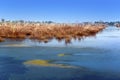 Bogs in the period of a drought on the way to the temple Neak Pean near Siem Reap, Cambodia