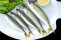 Bogue fish also known as Boops boops with rockets leaves served on white plate
