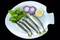 Bogue fish also known as Boops boops with rockets leaves served on white plate