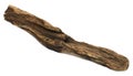 Bogwood or driftwood